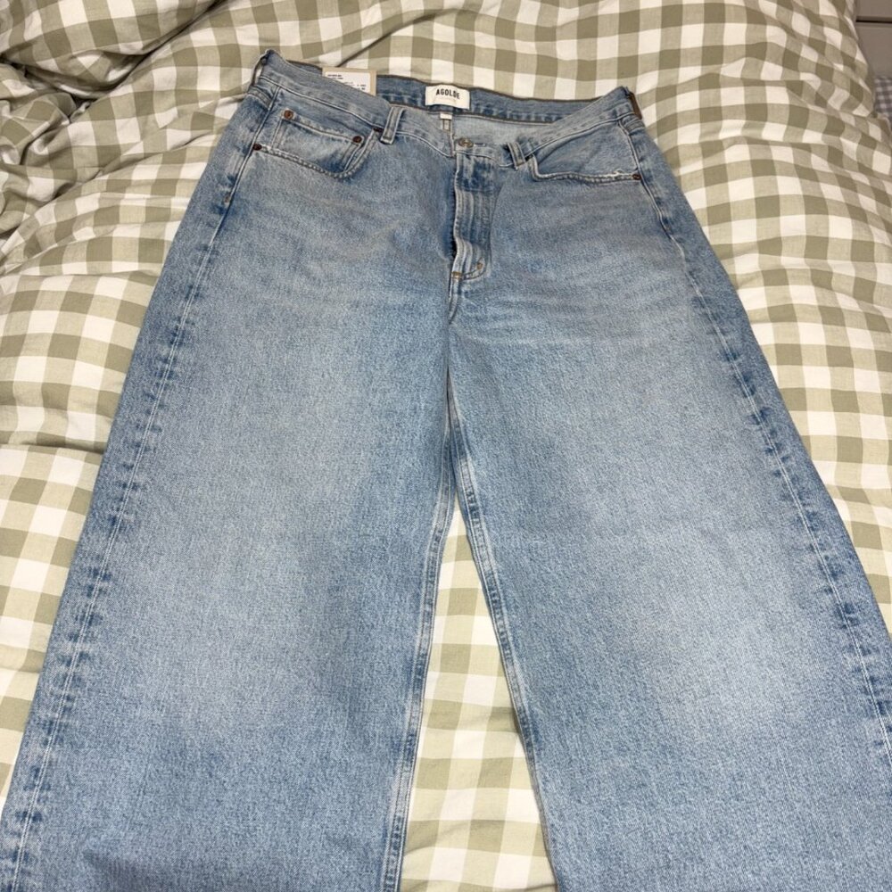 AGOLDE LOW CURVE JEANS IN FORCE